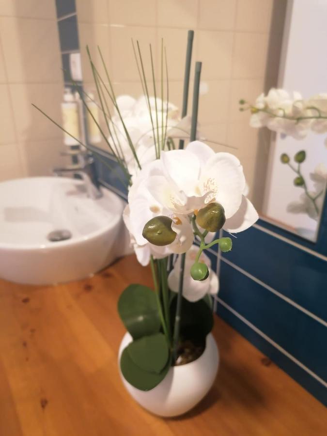 Apartamento Graciosa - Sta Catarina Place Ponta Delgada Eksteriør billede